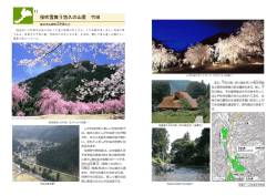 桜吹雪舞う悠久の山里 竹田