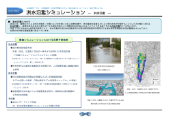 洪水氾濫シミュレーション ― 洪水氾濫 ―