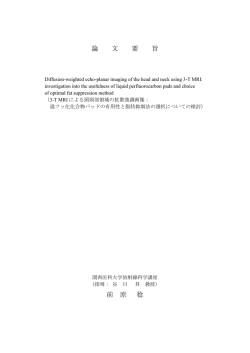 論文要旨（要約）