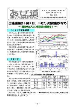 出穂盛期は8月2日、  あたり着粒数少なめ