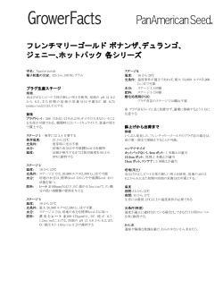 フレンチマリーゴールド ボナンザ､デュランゴ､ ジェニー､ホットパック 各