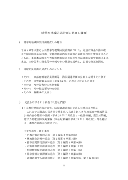 精華町地域防災計画の見直し概要