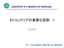 ミトコンドリアの重要な役割1