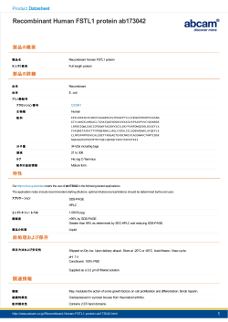 Human FSTL1 full length protein ab173042