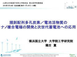 (5) 規則配列多孔炭素 - 公益財団法人 日本板硝子材料工学助成会