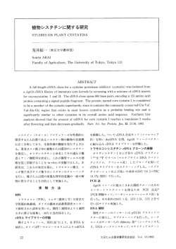 植物シスタチンに関する研究 - 不二たん白質研究振興財団