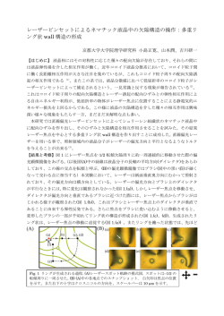 レーザーピンセットによるネマチック液晶中の欠陥構造