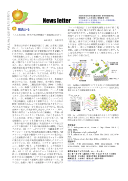 ニュースレター 第3巻 第3号 - 人工光合成による太陽光エネルギーの物質