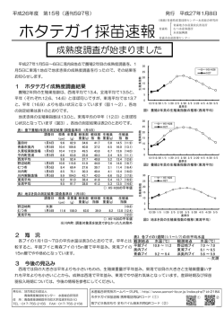 ホタテガイ採苗速報 - 青森県産業技術センター