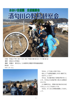 酒匂川の野鳥観察会 実施結果（PDF 1021KB）