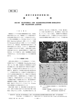 最新の家畜疾病情報（Ⅷ）  腐蛆病