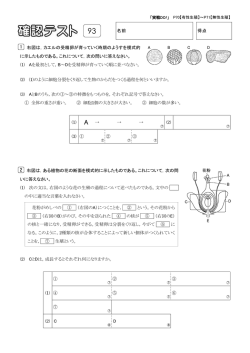 ポイント93