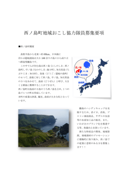 西ノ島町地域おこし協力隊員募集要項