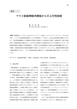 マウス前庭神経内側核からの上行性投射