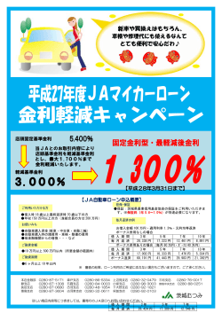 お借入金額 100 万円・適用利率 1.3％・元利均等返済 ボーナス併用なし