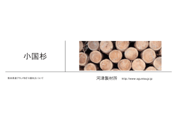 小国杉紹介PDF