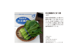 杉正農園のこまつ菜