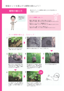 植物の植え方 ご紹介{鱒す! 生