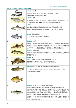 1/3 LES POISSONS D`EAU DOUCE 淡水魚 A Anguille ウナギ