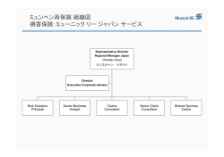 ミュンヘン再保険組織図 損害保険：ミューニックリージャパン
