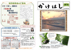 H27/09 第17号 - 安野公認会計士税理士事務所 ビジネスプラン