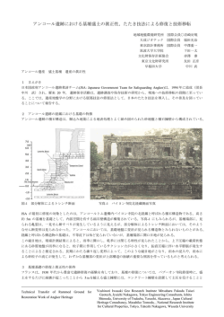 アンコール遺跡における基壇盛土の眞正性，たたき技法による修復と技術