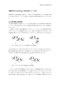束縛条件付き Schr&ouml;dinger 方程式を解くという方法