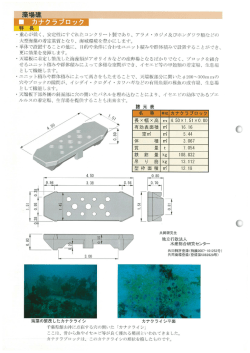 大型海藻の着定基質となり、 海域環境を豊かにします。 ・単体で設置する
