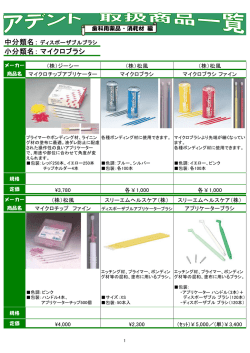 中分類名： 小分類名： マイクロブラシ