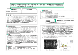 中国におけるハチミツおよびローヤルゼリーの精製方法の開発と実証