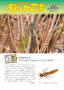 詳しくはこちら（PDF）