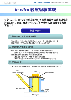 In vitro 経皮吸収試験