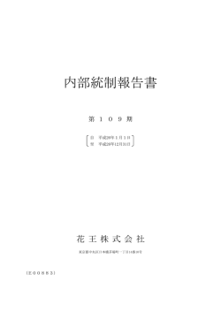 内部統制報告書
