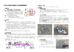 調査概要（PDF形式）
