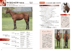 マイネシャリマーの14
