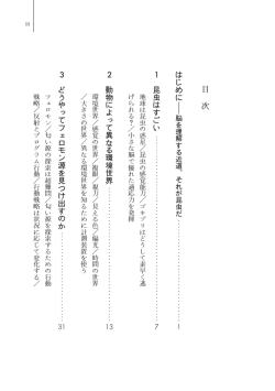 目 次