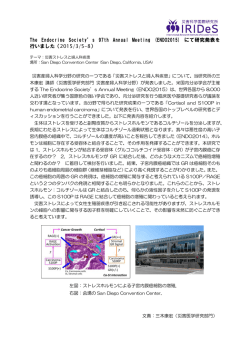 詳細はこちら - 東北大学 災害科学国際研究所 IRIDeS