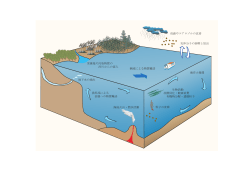 湧昇流による 表層への物質輸送 地下水の湧出 粒子の沈降 生物活動