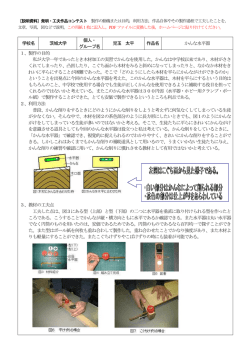学校名 茨城大学 個人・ グループ名 児玉 太平 作品名 かんな水平器 1