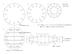 紙の厚み x4 以上 紙の厚み以上 ABC 水平板 2 枚ずつ出力 12 枚出力