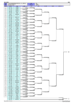 女子個人決勝成績 - 平成 27年度全国高等学校総合体育大会「2015 君