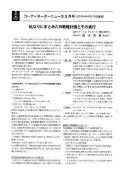 私なりにまとめた田戦略計画とその実行