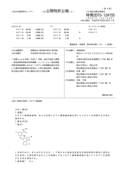公開特許公報 特開2015