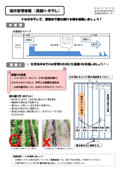 稲作管理情報 （溝掘り・中干し）