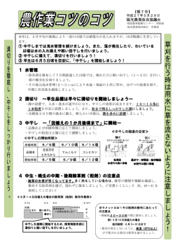 H27.5.29 「中干しに備えて溝切りの実施を
