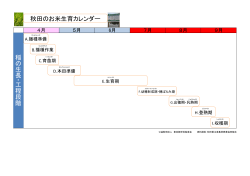 秋田のお米生育カレンダー 稲 の 生 長 ・ 工 程 段 階