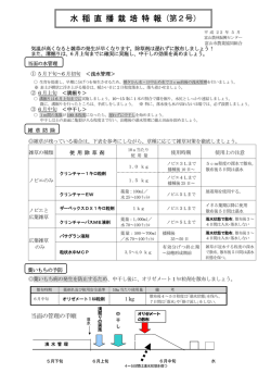 水 稲 直 播 栽 培 特 報 (第2号）
