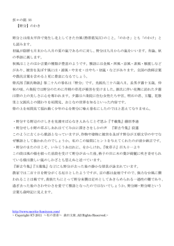 55〈野分〉 のわき - 私の書斎～ 森田文康