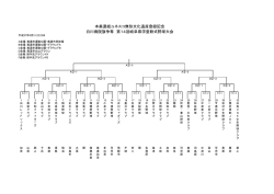 本美濃紙ユネスコ無形文化遺産登録記念 白川病院旗争奪 第14回岐阜