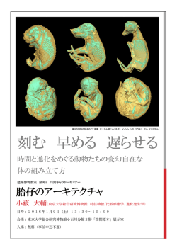 刻む 早める 遅らせる - 東京大学総合研究博物館